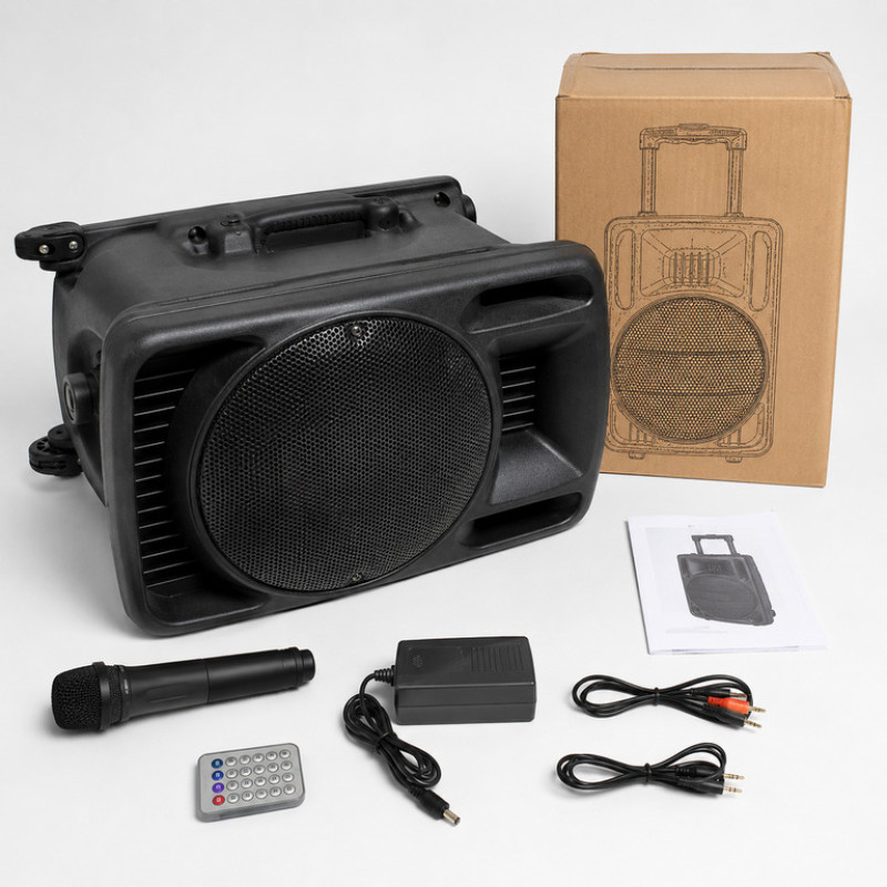 Портативна акустична система Su-Kam BT 100D з бездротовим мікрофоном — 100 Вт, Bluetooth, FM, REC, акумулятор 5500 mAh